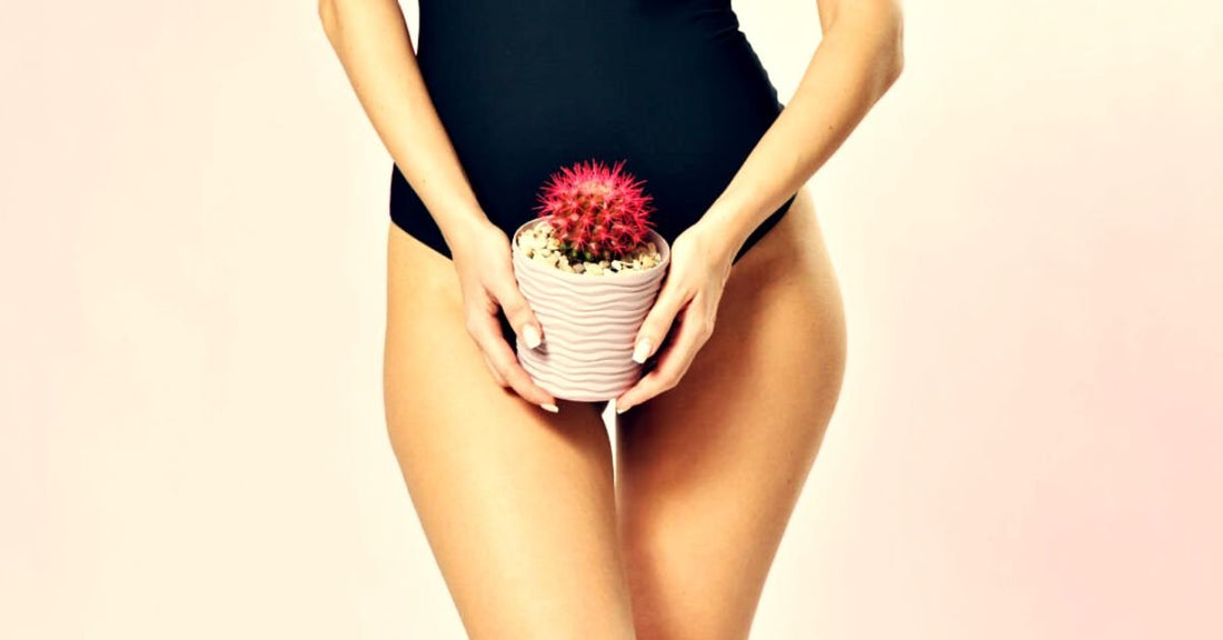 ¿Es seguro usar crema vaginal para la sequedad íntima? - Tu Salud Intima