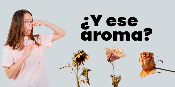 Higiene íntima ¡Entre jabones y espumas! La verdad que nadie te contó - Tu Salud Intima