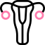 Eje Vaginal–Urinario